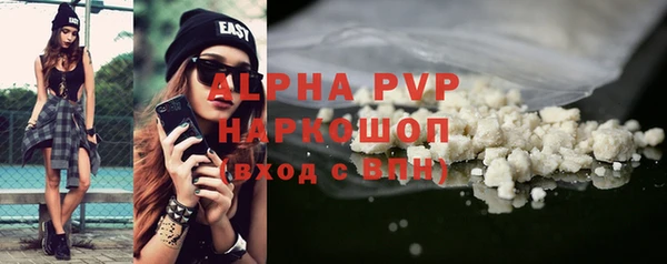 спиды Вяземский