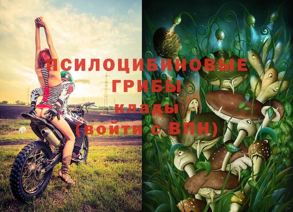 спиды Вяземский