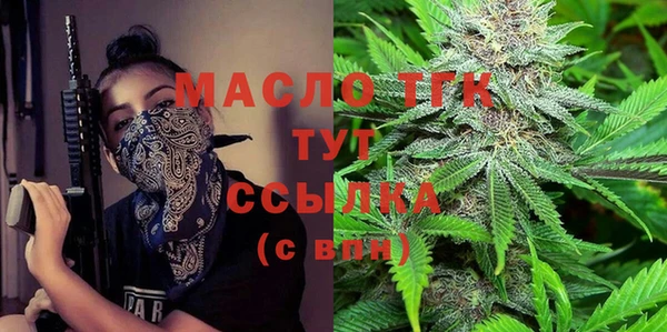 спиды Вяземский