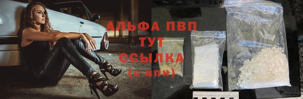 спиды Вяземский
