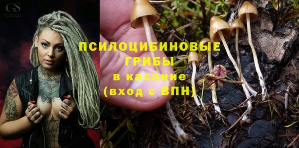 прущие крисы Вязники