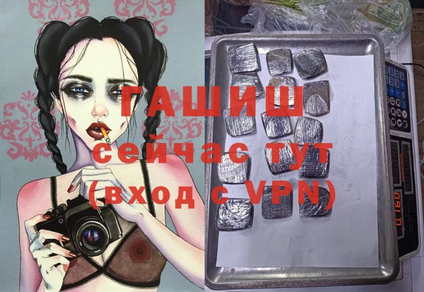 спиды Вяземский