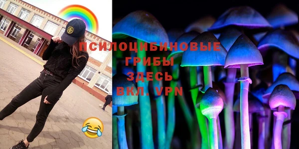 спиды Вяземский