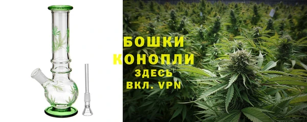 спиды Вяземский